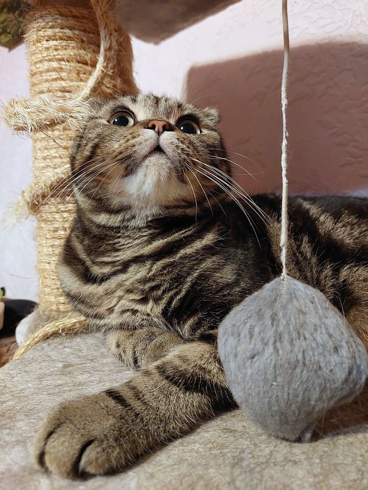 Photograph by Ольга Бородина