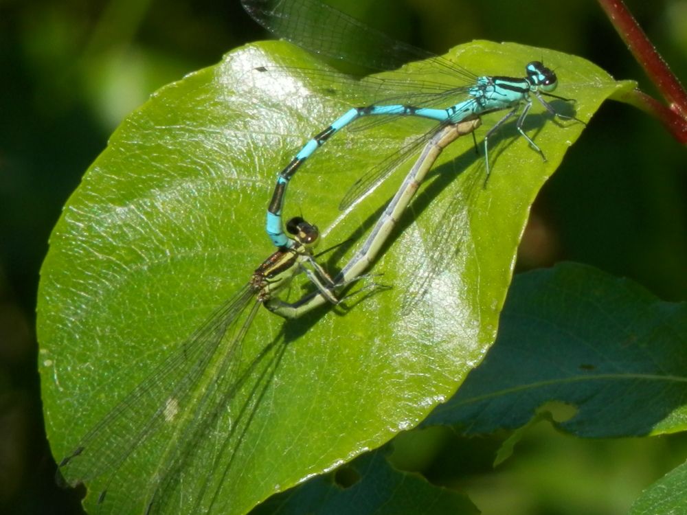 Photograph by Георгий Салюков