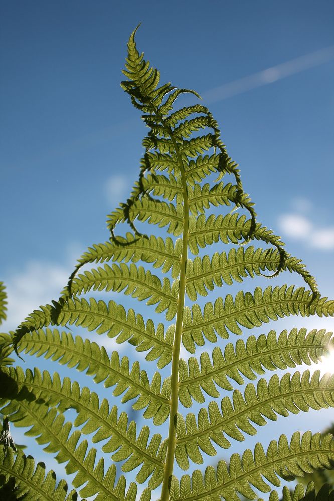 Photograph by Ольга Крючкова