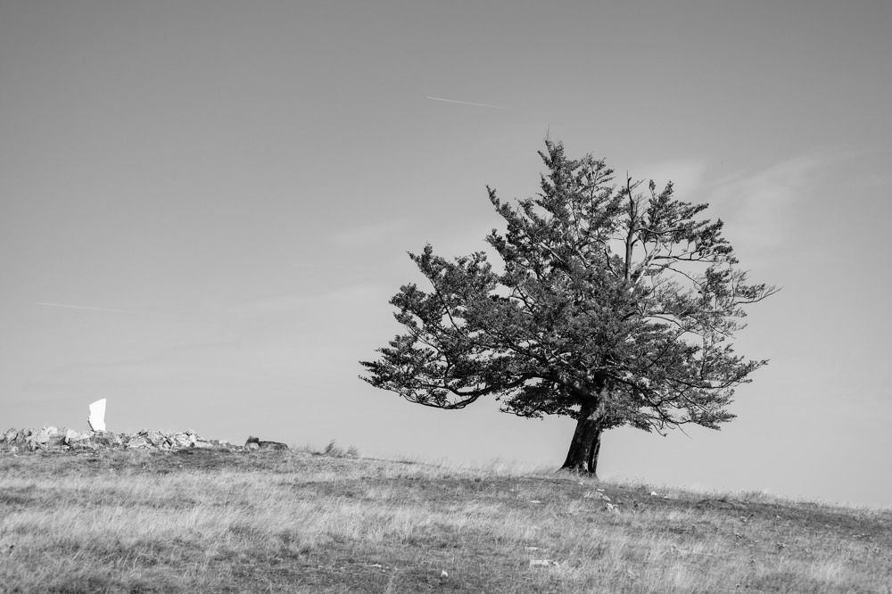 Photograph by Трайко Байко