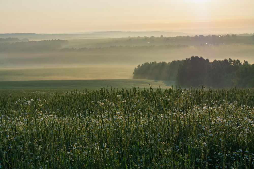 Фотография автора Анастасия