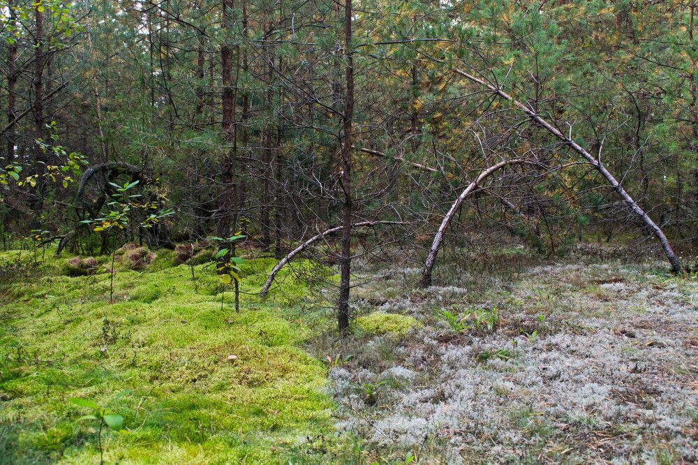 Фотография автора Юлия Кранина