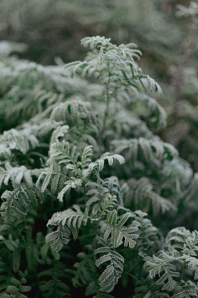 Photograph by Наталья Молоткова