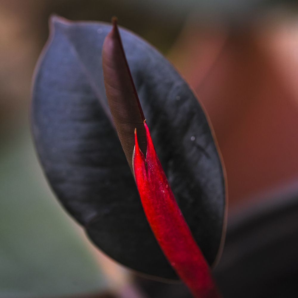 Фотография автора Владимир Пронин