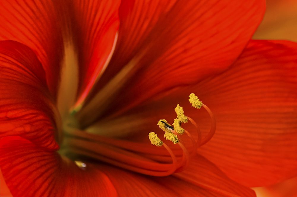 Фотография автора Владимир Пронин