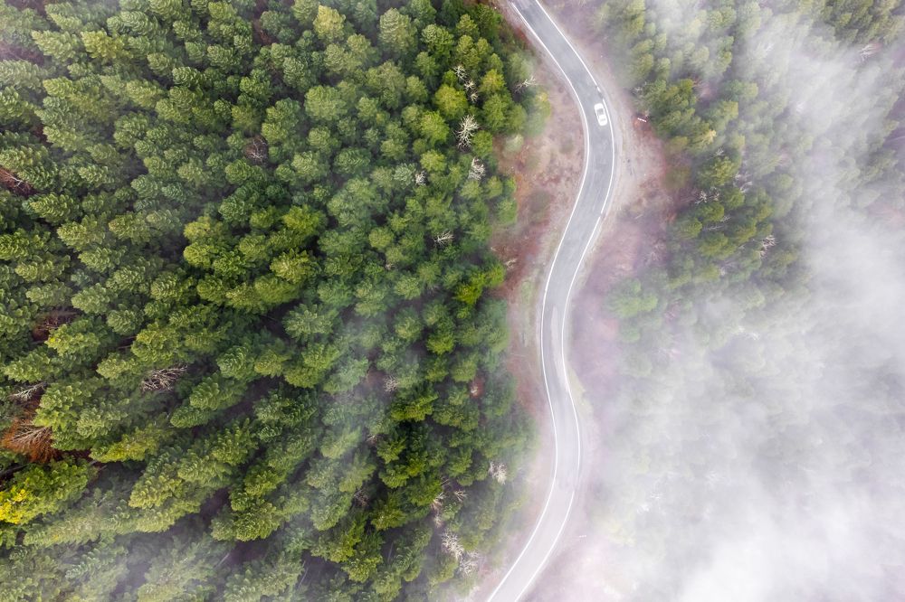 Photograph by ismail serhat sahin