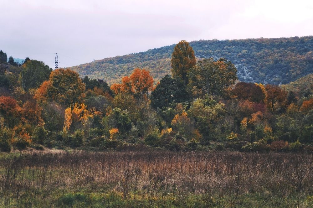 Photograph by Ольга Мальцева