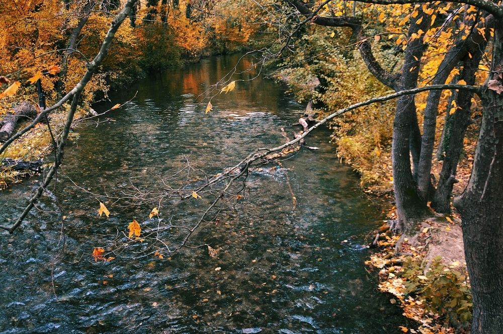 Photograph by Ольга Мальцева