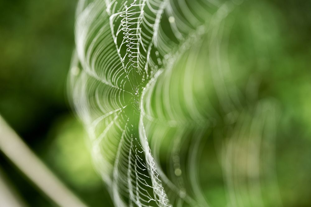 Photograph by  Павел