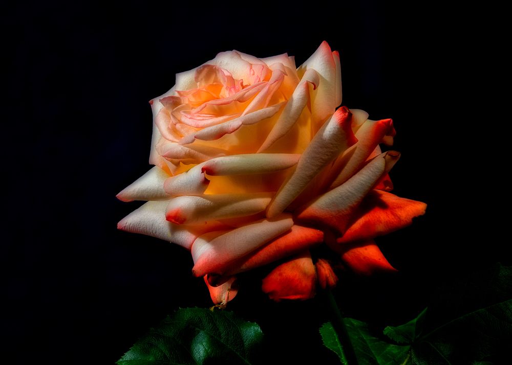 Photograph by Владимир Кваша