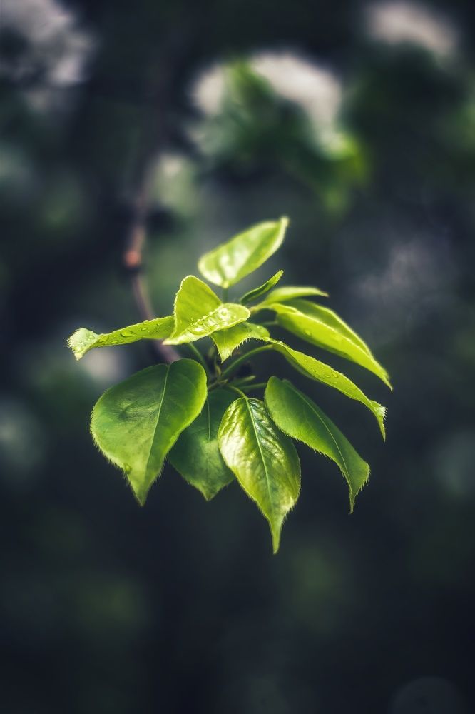 Photograph by Ксения Прохорова