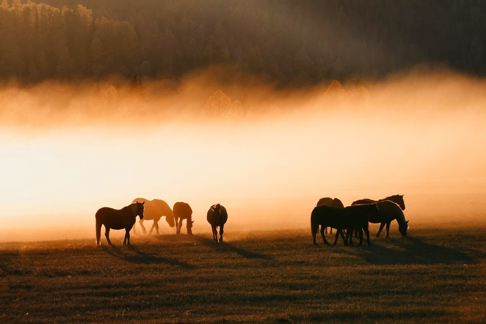 Photograph by Татьяна Мещерякова