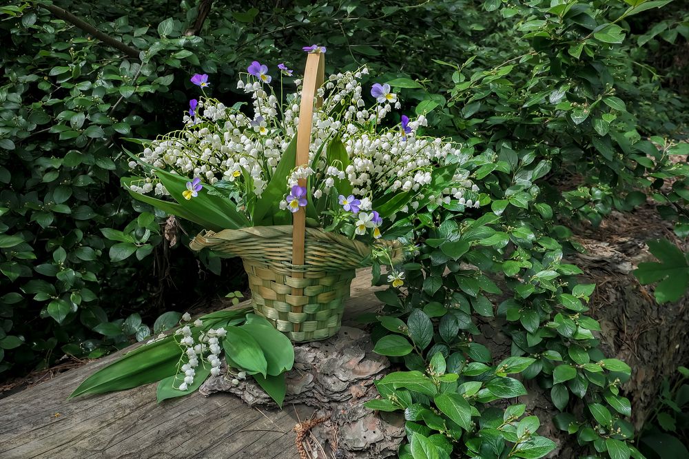 Майский натюрморт.