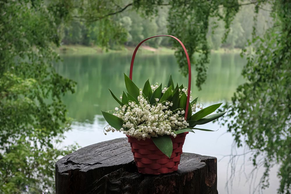 Майский букет.