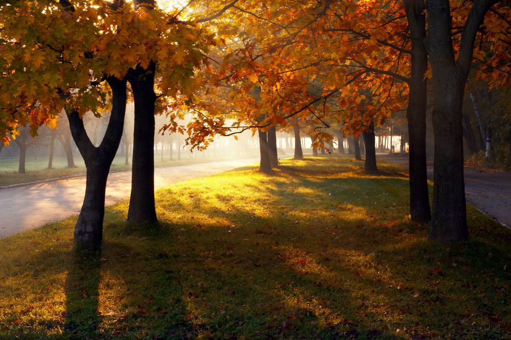 Photograph by  Павел