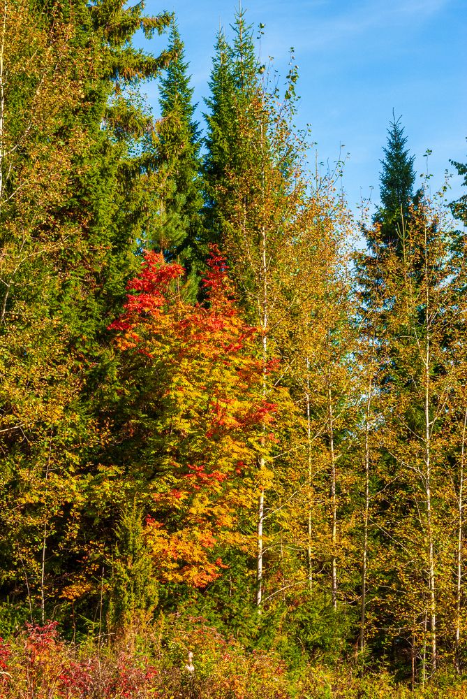 Photograph by Денис Кичев