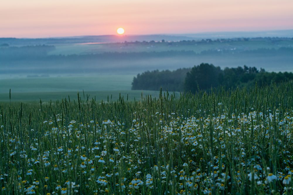 Фотография автора Анастасия