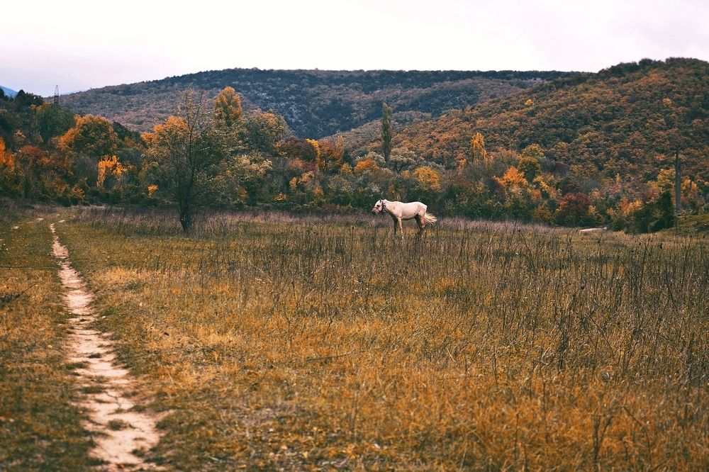 Photograph by Ольга Мальцева