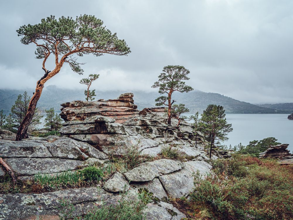 Фотография автора Юлия Есина