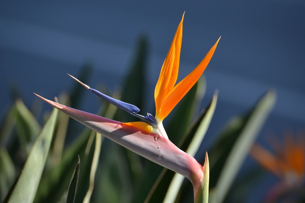 Photograph by Игорь Двойных