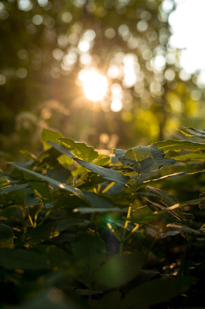 Photograph by Oksana Maskalenko