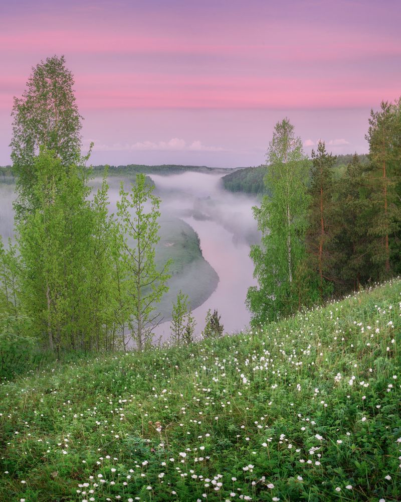 Фотография автора Дмитрий Медянцев