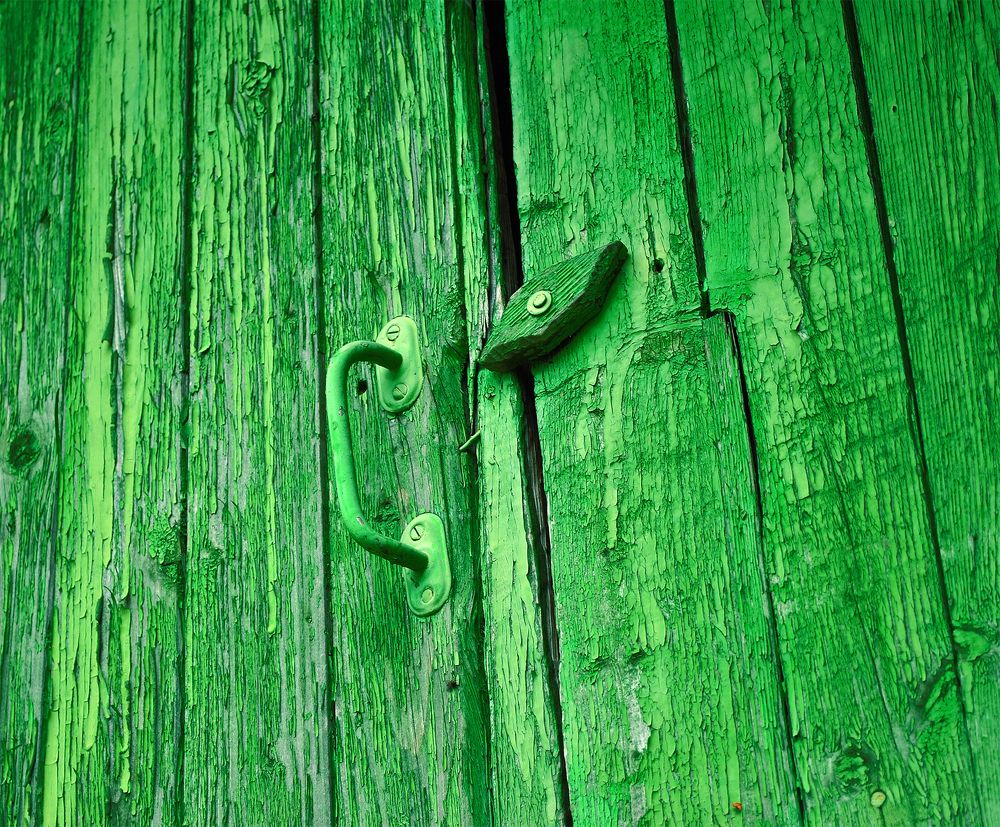 Photograph by Алексей