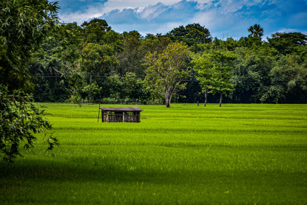 Фотография автора ANKIT GHOSH