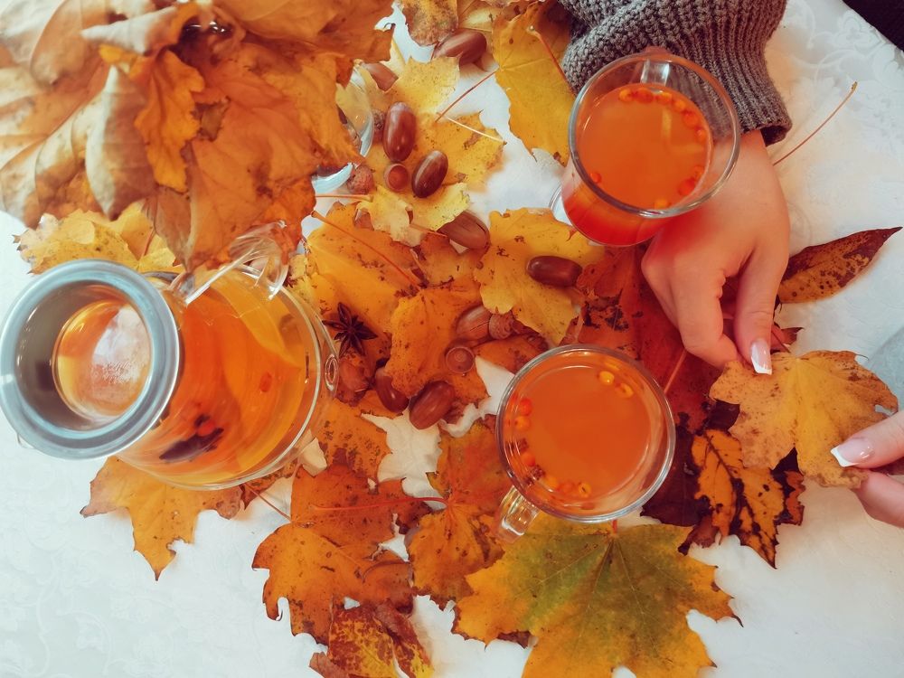 Фотография автора OXANA MARSOVA