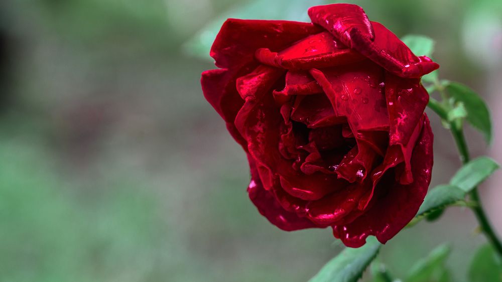 Photograph by Милен Младенов