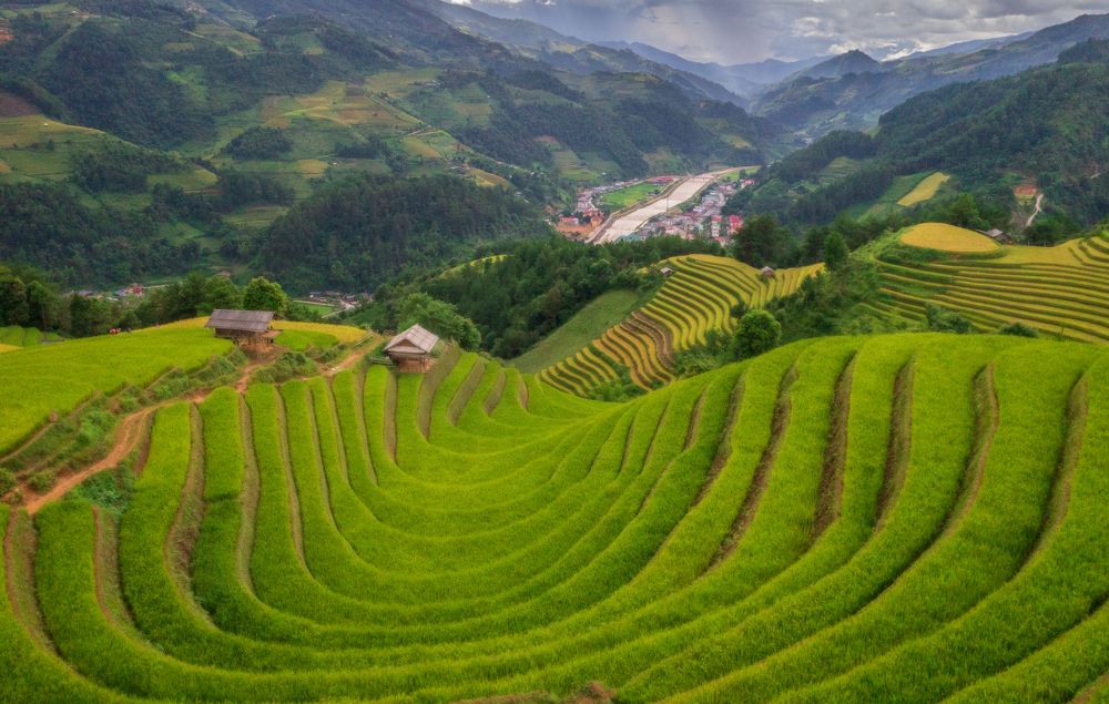 Photograph by Duy Chris