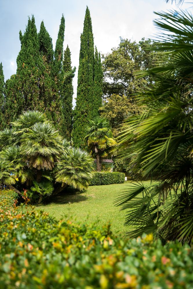 Фотография автора Василиса Новикова