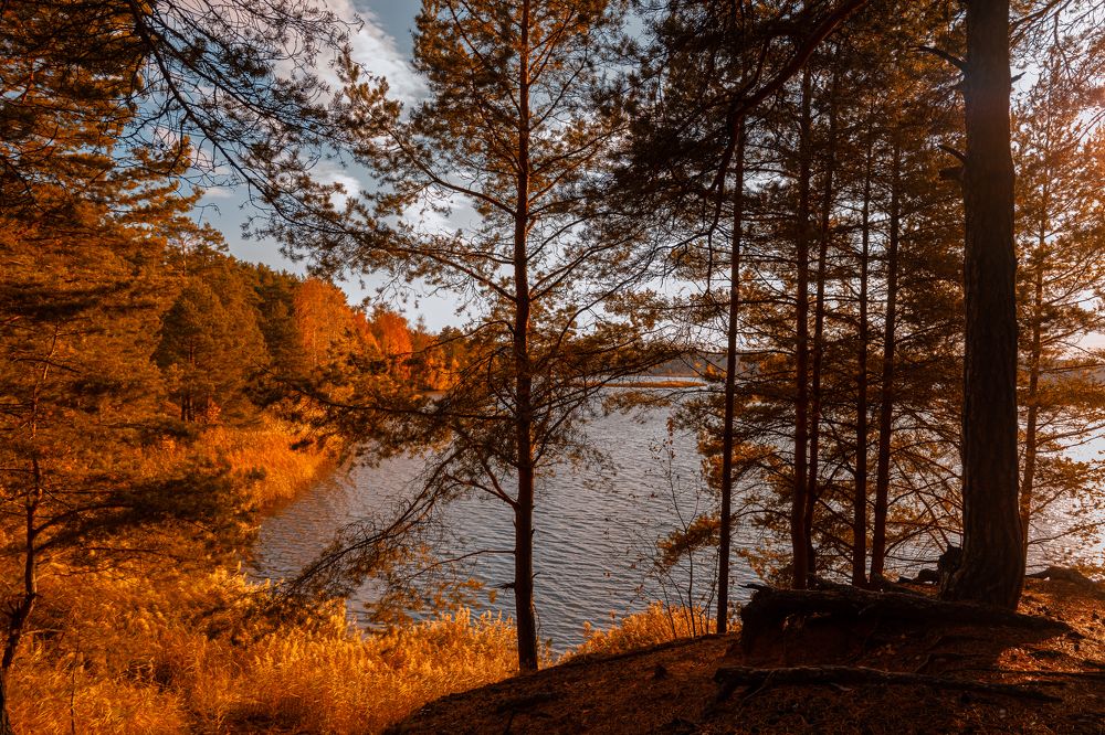 Фотография автора Сергей Федотов