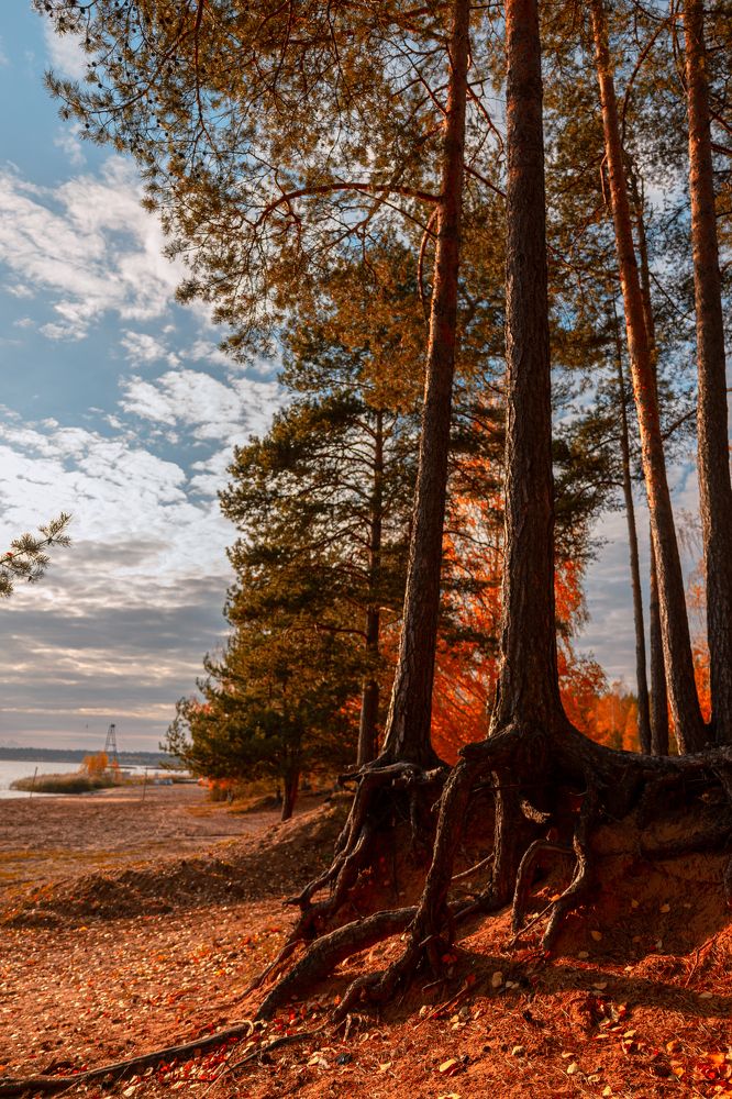Фотография автора Сергей Федотов