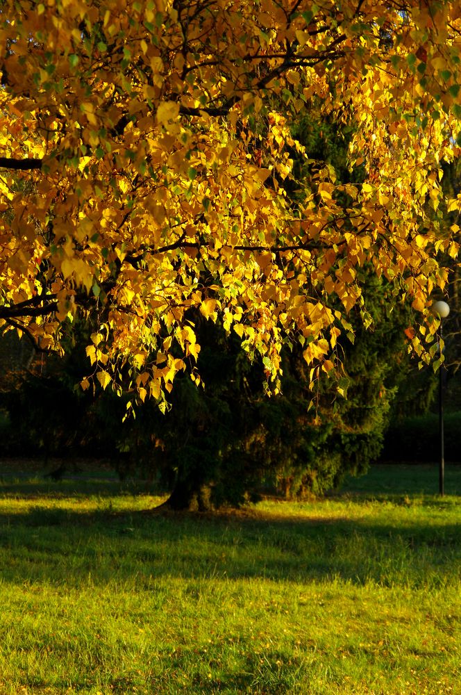 Photograph by Nadezda Sarap