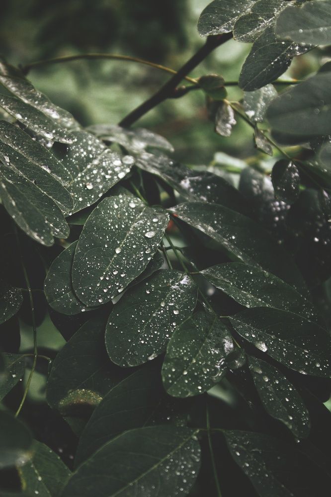 Photograph by Виктория Старовойтова