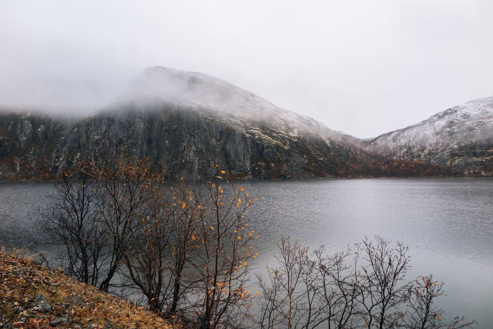 Photograph by Галина Андреева