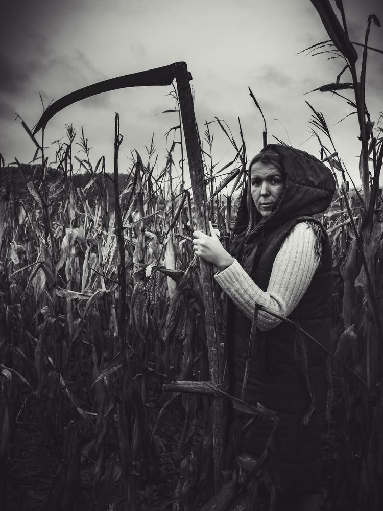 Photograph by Дмитрий Головко