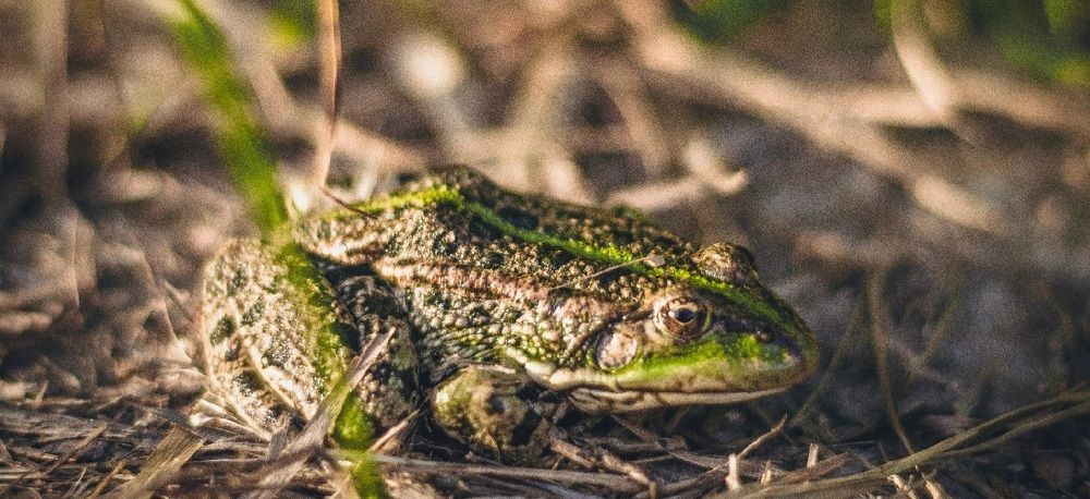 Photograph by Дмитрий Коваленко