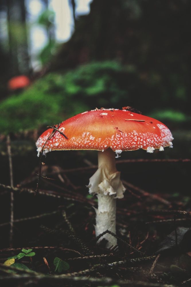 Photograph by Виктория Старовойтова