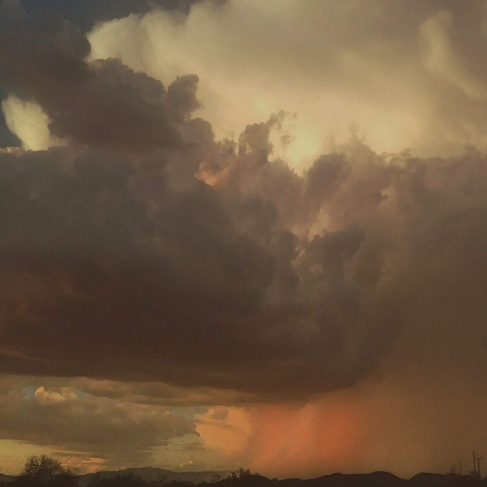 Фотография автора Christina Tarpley