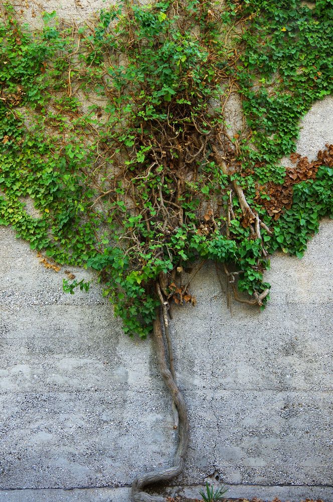 Photograph by Nadezda Sarap