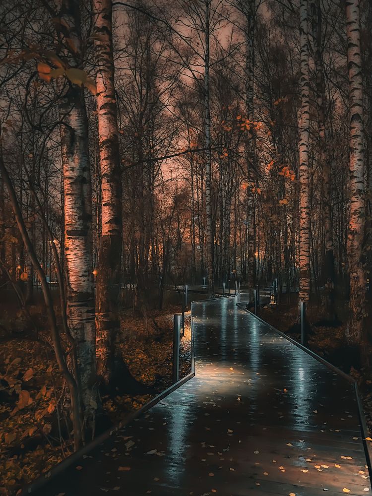 Photograph by Наталья Чернышова