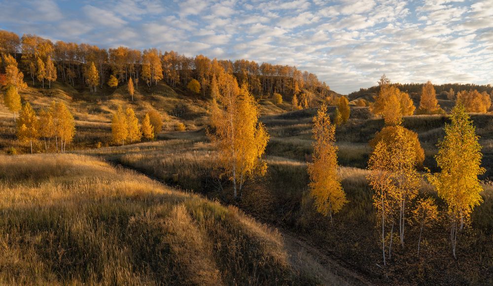 Photograph by Колесов Андрей