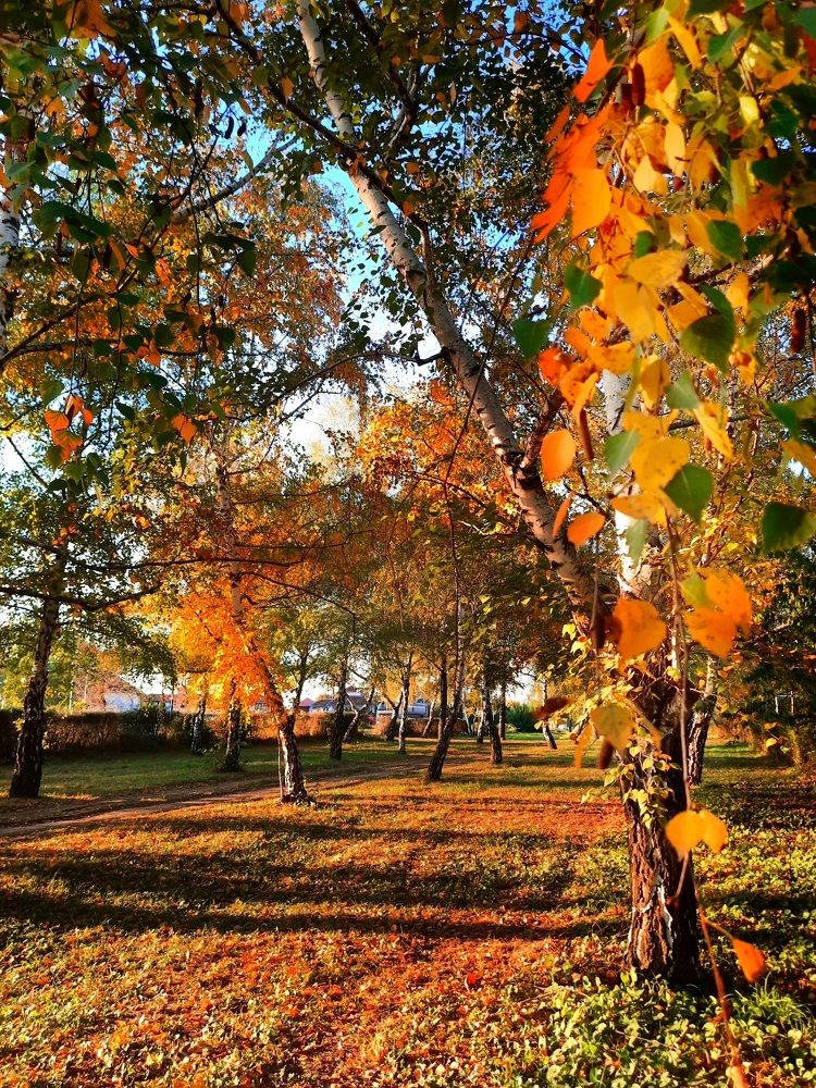 Photograph by Jelena Vasic