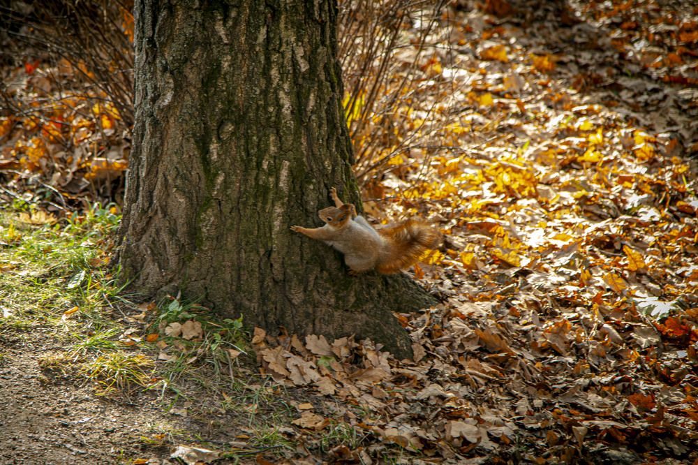 Photograph by Александр Батурин