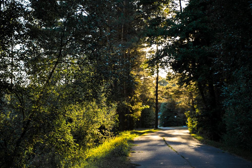 Фотография автора Василиса Новикова