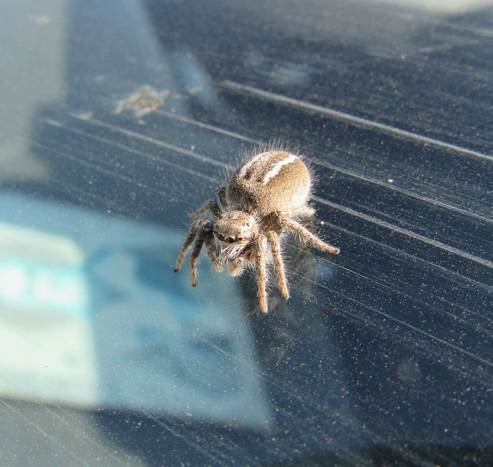 Photograph by Денис Веску