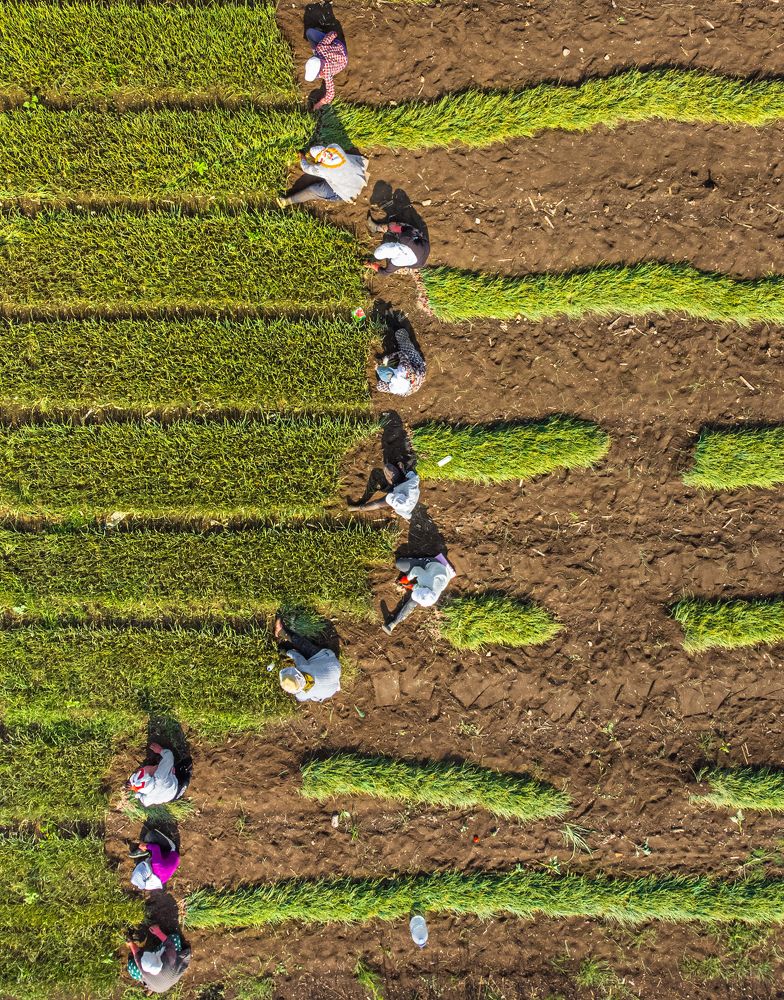 Photograph by ismail serhat sahin