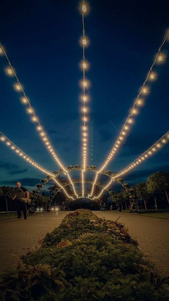 Фотография автора Анастасия Мамаева